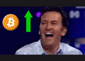 bitcoin down