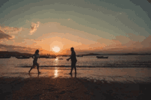 Viagem Praia GIFs | Tenor
