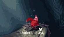 I Don T Know What You Re Talking About Sebastian Crab Meme