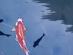 Anime Koi Fish