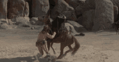 https://media.tenor.com/images/f39922f585abd6fef057e043fa2afba2/tenor.gif
