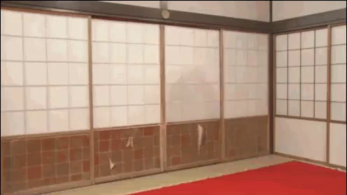 ふなっしーが障子を破って倒れる Gif Funasshii Hit The Wall Discover Share Gifs