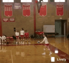 gif wallpaper volleyball
