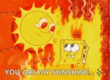 You Are My Sunshine Gifs Tenor