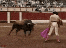 Image result for matador fallsdown gif