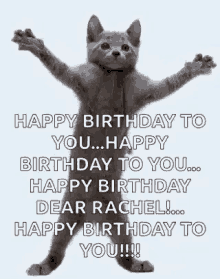 Featured image of post Happy Birthday Cat Gif Funny Funny man with a huge cake saying happy birthday