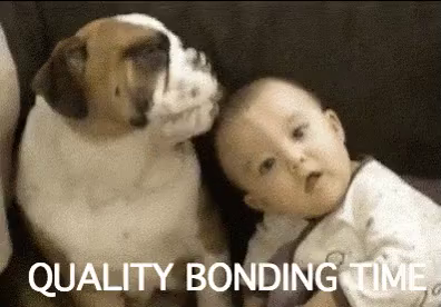 Post reply image
