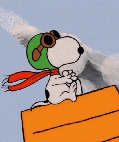 Image result for snoopy dog gif