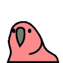 Party Parrot Gif 5