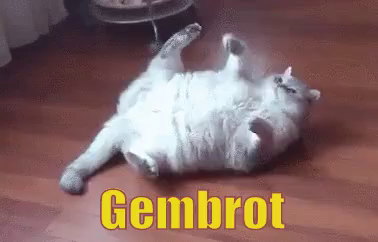 Gembrot GIF - Gembrot Gembul Kucing - Discover u0026 Share GIFs