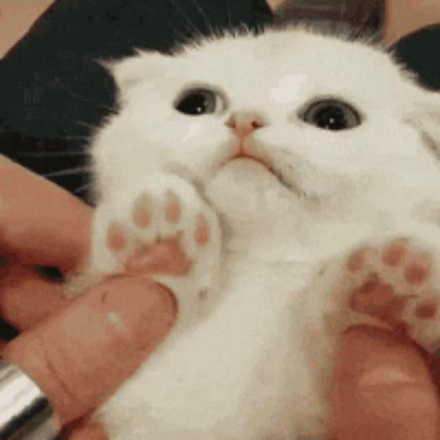 Post reply image