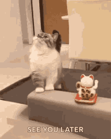 lucky cat gif