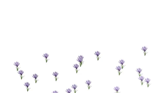 Transparent Background Flowers Flowers For You Gif Transparentbackgroundflowers Background Flowers Discover Share Gifs transparent background flowers flowers for you gif transparentbackgroundflowers background flowers discover share gifs