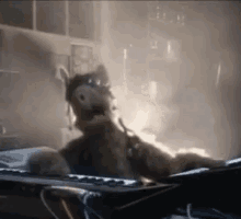 Alf No Problemo Alf No Problemo