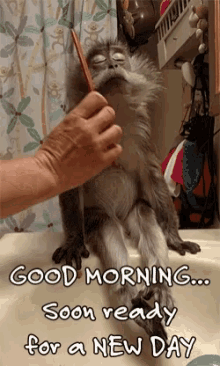 Image result for fun morning gif