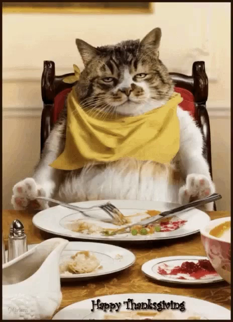 Happy Thanksgiving Fat Cat Gif Happy Thanksgiving Fat Cat Cats Eating Dinner Discover Share Gifs