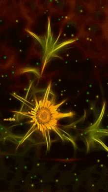 Afbeeldingsresultaat voor Flower of the Universe gif