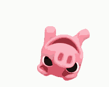 bouncing pig