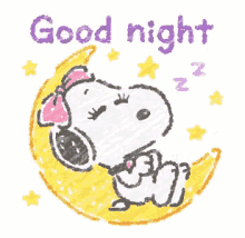 Gute Nacht Snoopy - Gute Nacht GIF - GuteNacht GuteNachtSnoopy Schlafen ...
