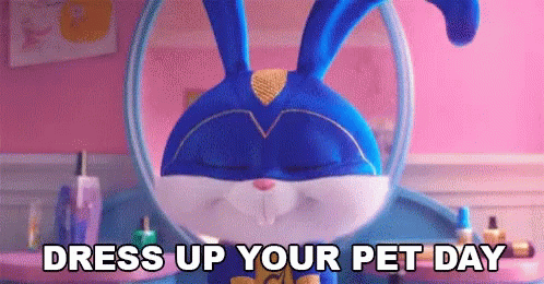Dress Up Your Pet Day Snowball GIF
