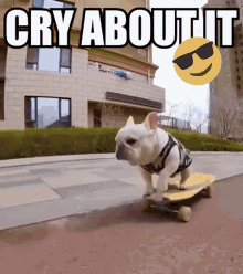 Cry About It Meme GIF - Cry About It Meme Pug GIFs