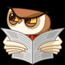 Owl Huh GIF - Owl Huh Doubtful GIFs