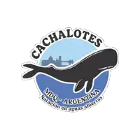 a logo for cachalotes mdq argentina with a whale in the middle