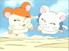 Hamtaro Running GIF - Hamtaro Running Hamsters GIFs
