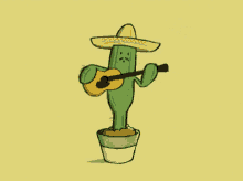 cactus playing guitar whistle mexico