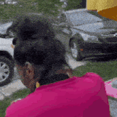 Wandavisionstan Gif GIF - Wandavisionstan Gif Weird Look GIFs