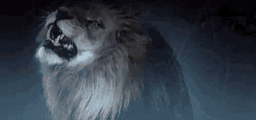 Narnia, aslan roaring HD wallpaper