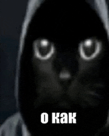 a black cat with glowing eyes is wearing a hooded jacket .