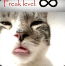 a close up of a cat 's face with the words freak level written below it