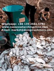 machine cassava