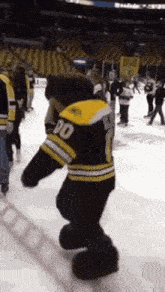 Bruins GIF - Bruins GIFs