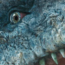 a close up of a crocodile 's eye with a red pupil