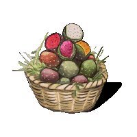 a wicker basket filled with a variety of cactus fruits