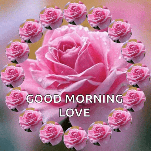 Good Morning Love Gif - Good Morning Love Pink - Discover & Share Gifs