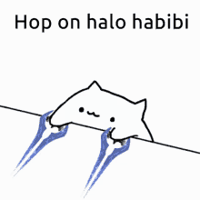 habibi hop on halo damn halo habibi cat spiderbush