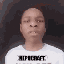 Nepucraft Enhanced Survival GIF - Nepucraft Enhanced Survival Custom Mobs GIFs