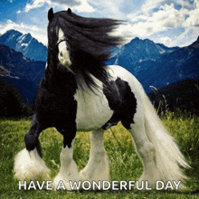 a black and white horse with mountains in the background and the words have a wonderful day