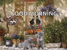 Good Morning Sparkles GIF - Good Morning Sparkles Kittens GIFs