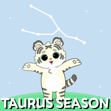 a cartoon of a tiger with the taurus season written underneath it