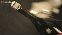 Champagne Opening Champgane Bottle GIF