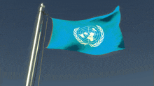 a blue flag with a white globe and laurel wreath