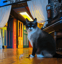 a cat sits in front of a sign that says " to all "