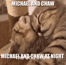 Michaw Michael Wheely GIF - Michaw Chaw Michael Wheely GIFs