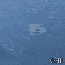 Deal With GIF - Deal With It GIFs