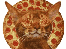 Pepperoni Pizza Day National Pepperoni Pizza Day GIF - Pepperoni Pizza Day National Pepperoni Pizza Day Pepperoni Pizza GIFs