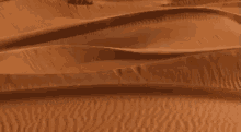 a close up of a desert landscape with sand dunes